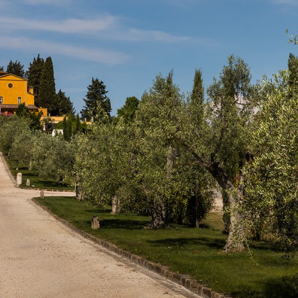 gruppo-forconi_villa-il-petriccio (3)